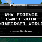 Minecraft World PE